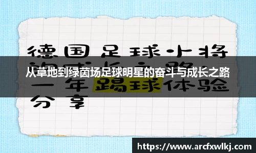 从草地到绿茵场足球明星的奋斗与成长之路
